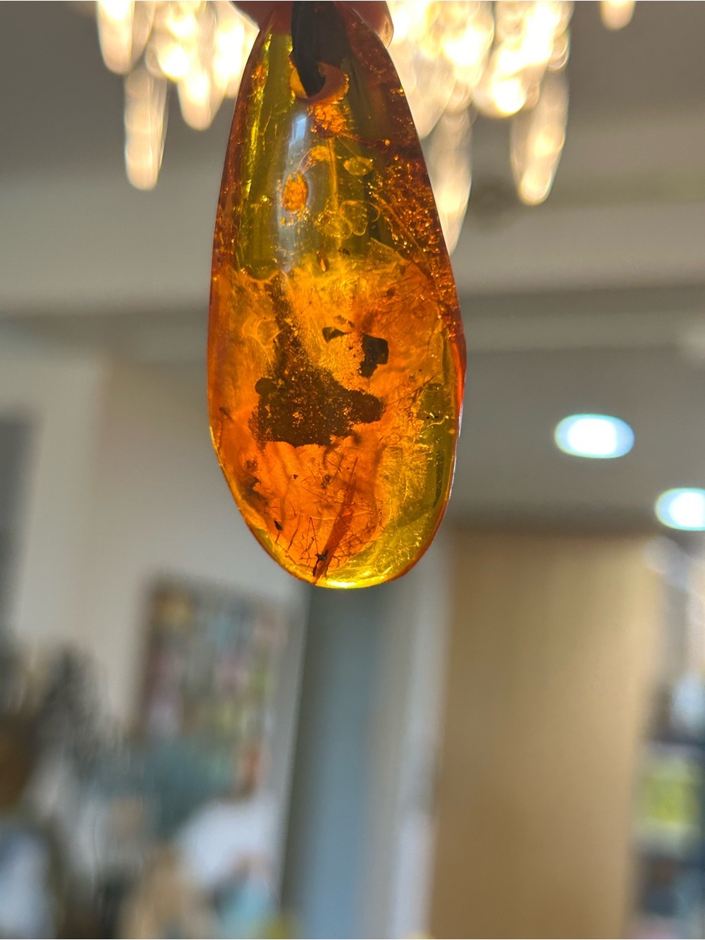 Poland Vintage Baltic Amber Insect Fossil Inclusion Huge Teardrop Pendant - Picture 14 of 17
